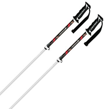 シナノ SINANO　フリーX AL フリーエックス AL BK　スキーストック 2025-2026 詳細2