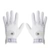 フットジョイ FootJoy　eComfort イーコンフォート 2025年モデル レディース 両手用 ゴルフグローブ FGLE25 WG ホワイト/グレー ホワイト/グレー