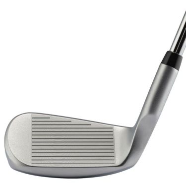 キャスコ　レディース ドルフィン ランニングウェッジ DRW-225　DP-251 カーボンシャフト 詳細3