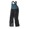 ティートンブロス TETON BROS　スキー スノーボードウェア グローバルビブパンツ Global Bib Pant GB253-02M 2025-2026 Black