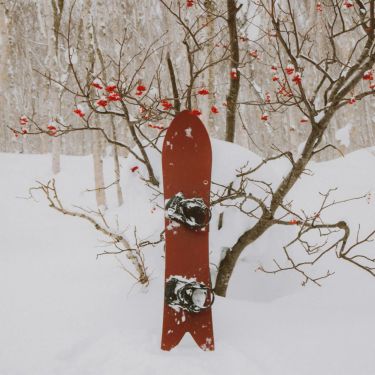 シーズン SEASON　FORMA フォルマ　スノーボード 板 2025-2026 詳細6