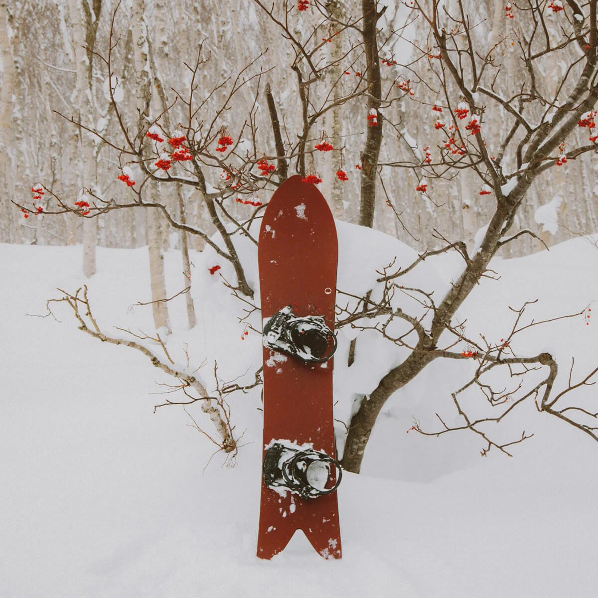 シーズン SEASON　FORMA フォルマ　スノーボード 板 2025-2026 詳細6