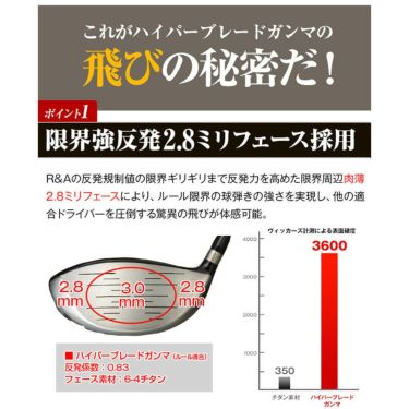 ワークスゴルフ　WORKS GOLF メンズ HYPER BLADE ハイパーブレード ガンマ ドライバー　Vspec α-3 シャフト 詳細1 詳細7