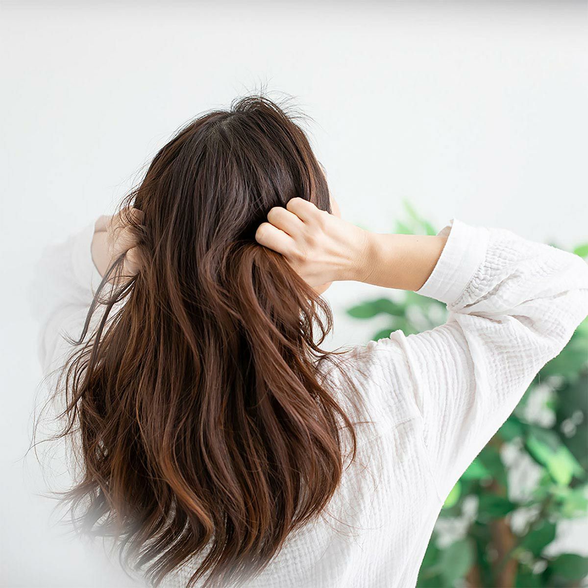 ドクターエア DOCTORAIR　ミラブラシ　ヘアブラシ BBR-01 詳細18