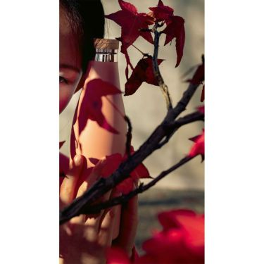 シグ SIGG　 メリディアン 0.5L ブラック　水筒  詳細15