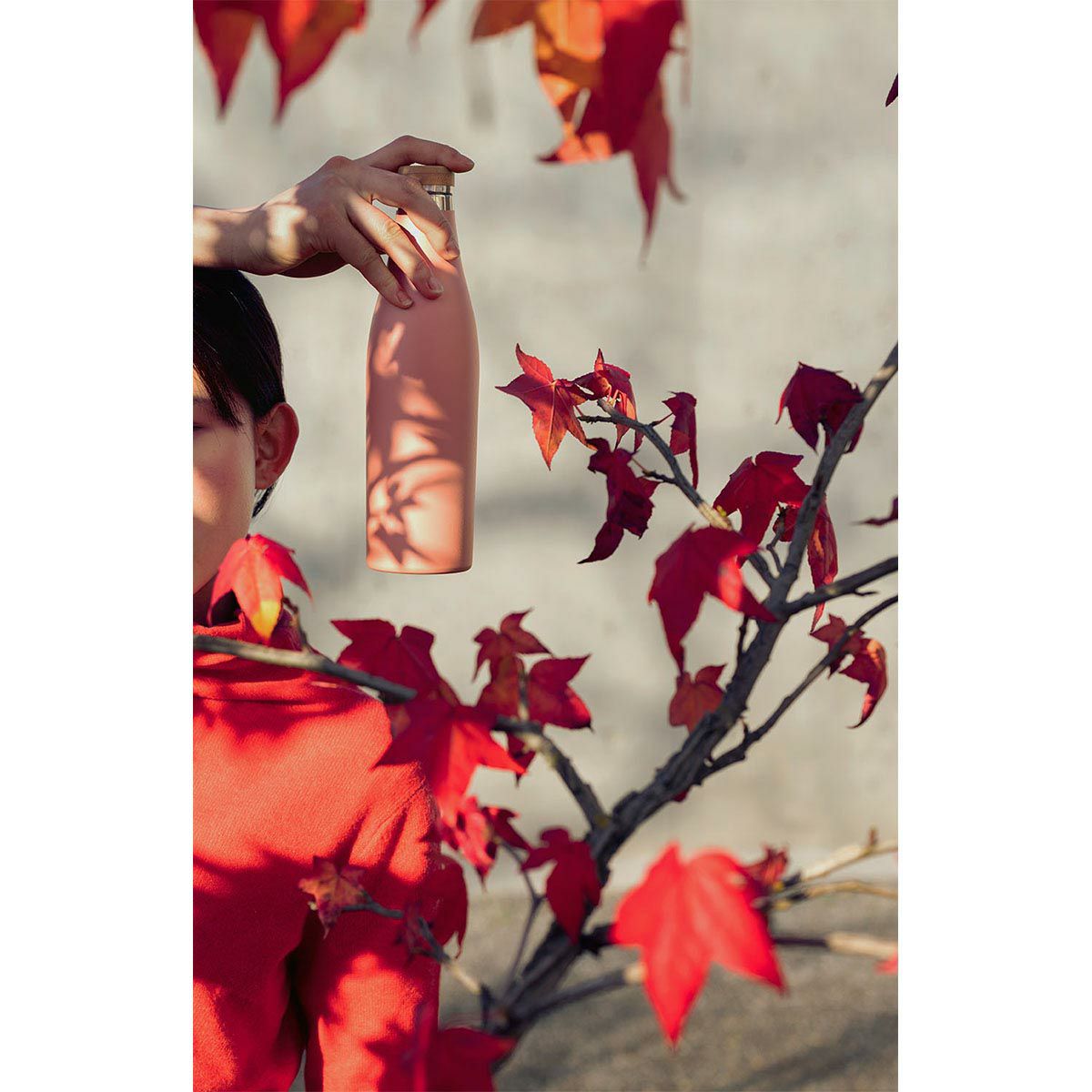 シグ SIGG　 メリディアン 0.5L ブラック　水筒  詳細16