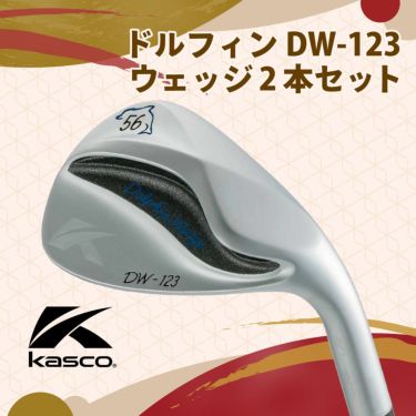 キャスコ ドルフィン DW-123 ウェッジ2本セット N.S.PRO 950GH neo